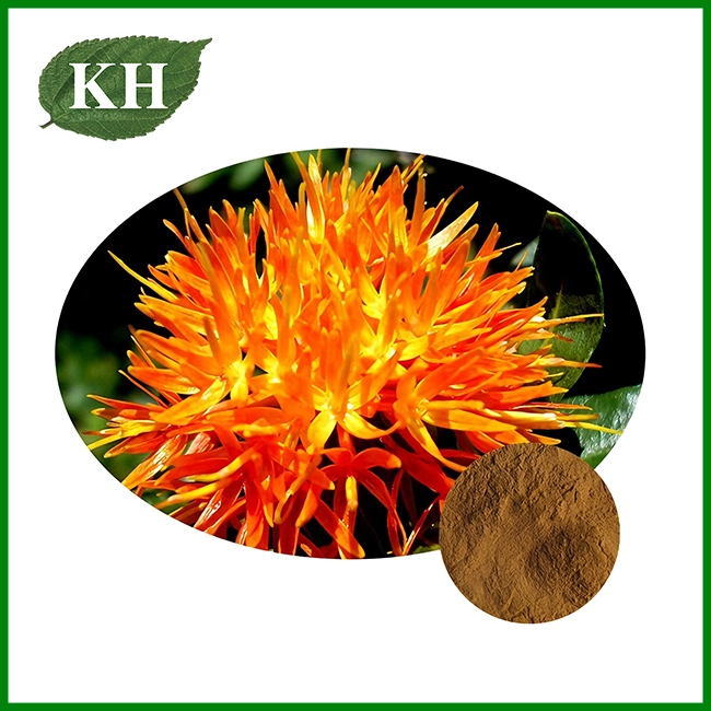 Safflower Extract Powder